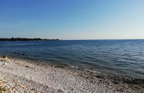 Apartments Oleander Lovrečica-residence with pool - Photo 58