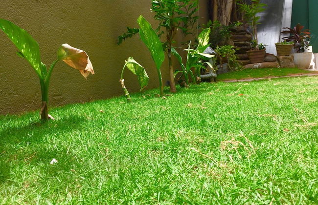 Villa Raha - Photo 58