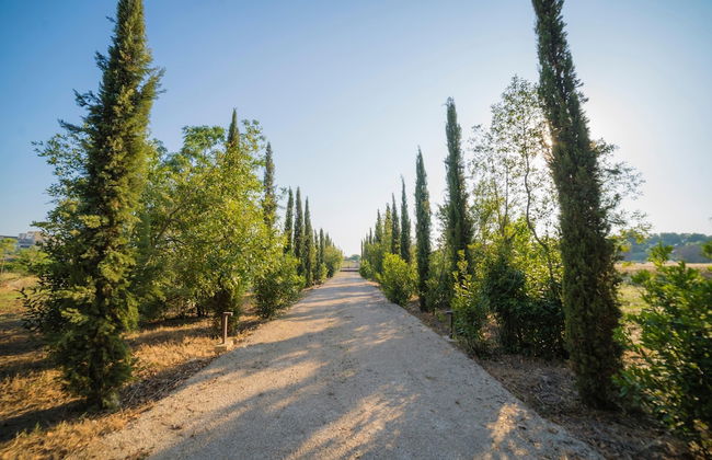 Villa Vallone Luxury With Pool - Foto 37