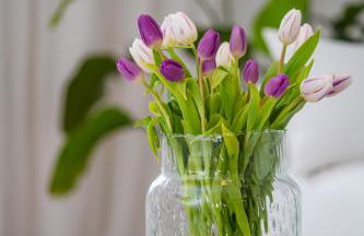 Hanse Villa "Apartment Hamburg" - Foto 6