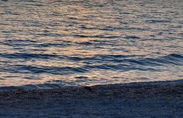 Apartment Tara - Foto 30