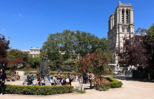 Rooftop Triplex with Garden at Notre Dame - Foto 32