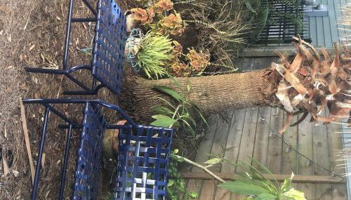 Luxurious indoor/outdoor Family Paradise in downtown St Augustine - Foto 5