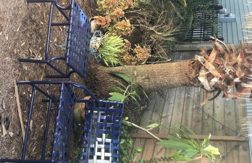 Luxurious indoor/outdoor Family Paradise in downtown St Augustine - Foto 5