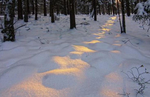 Zezuj Agroturystyka i Łowisko - Photo 78