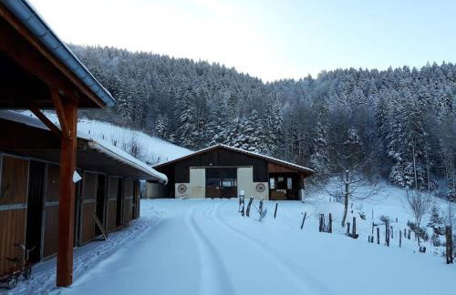 RELAX CHALET Nature Retreat - isolé sur 3 hectares - confort de LUXE - maison entière 150m2 - près de La Bresse - Foto 48
