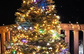 Chyża Chata na Krańcu Świata - Foto 9