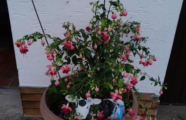 Casa Natur - Foto 25