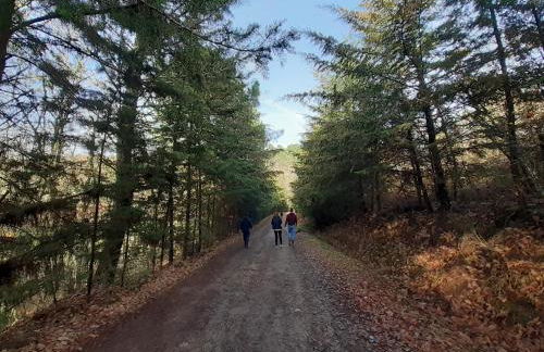Quinta da Peça Douro Wine Region Retreat, Private Pool Villa - Foto 10