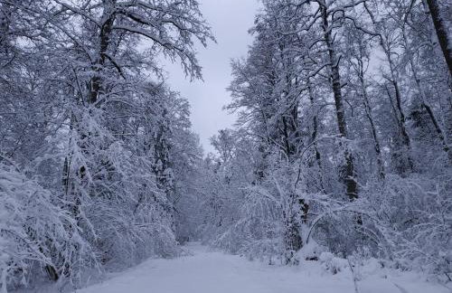 Żurawie gniazdo, elegancki zakątek w Puszczy Białowieskiej - Foto 34
