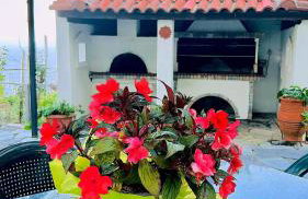 Erato's Nest - Pelion - Photo 6