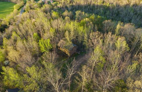 Five Cabins in Jasper - Perfect For Large Groups! - Foto 50