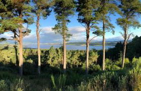 Woodside Cabin - Photo 19