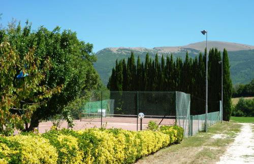 Tadinum Romana - Foto 6