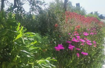 Apartman Franolic Punat - Foto 61