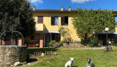 Agribike Agriturismo Poggio Rossino - Foto 2, Garden