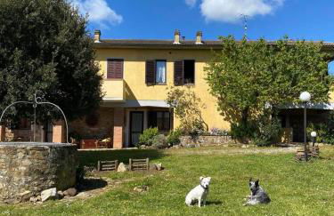 Agribike Agriturismo Poggio Rossino - Foto 2