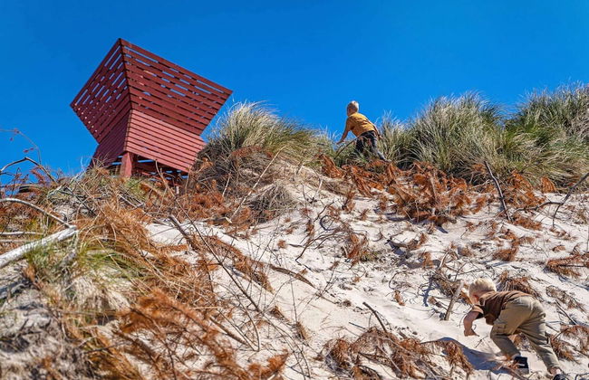 Danland Blokhus Park - Foto 12