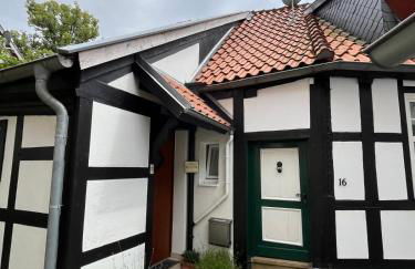 Lateinschule - Foto 8