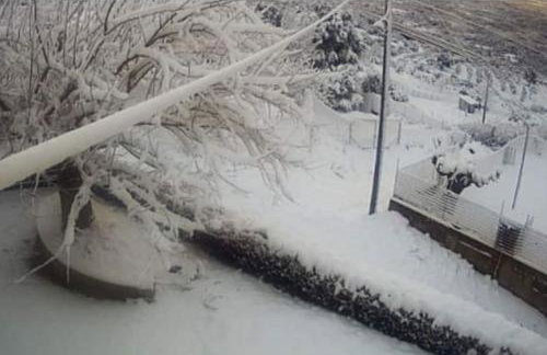 Villa Lena Megalopoli - Foto 42