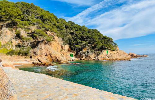 Tamariu Beach 1- Beachfront Home with wifi views - Photo 4