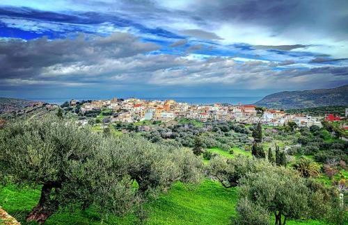 Villa Kalo Chorio - Foto 27