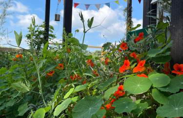 The Deckhouse, cabin with big deck nr Hay-on-Wye - Foto 4