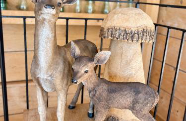 Luxueux chalet avec vue sur les pistes et le Hohneck - Foto 14