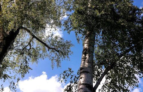 Blumen(t)raum - Ferienwohnung in Karlsruhe - Foto 17