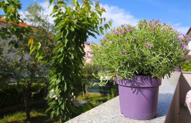 Apartments Melin - Photo 45