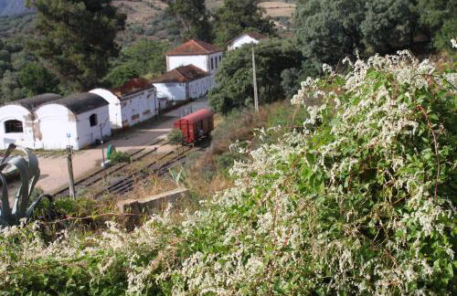Casa Rural Camino de Hierro I y II - Foto 54