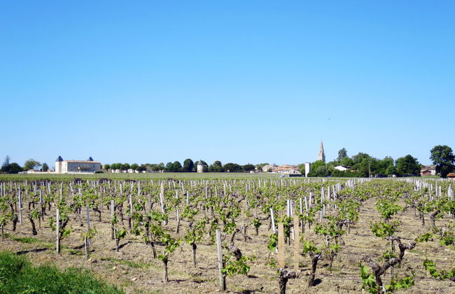 L‘Estuaire - Foto 22