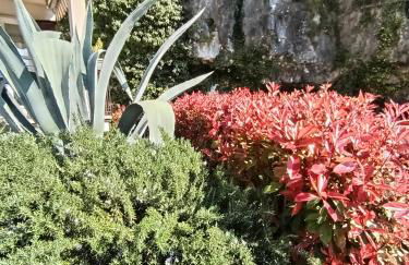 CITRUS Apartment Brenzone - Foto 19