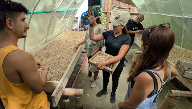 Minca Day Trip - Foto 5, Learn about the coffee making process