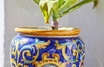 Casa de Veiros - Estremoz - Foto 29