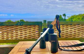 Flora e Fauna House - Photo 1