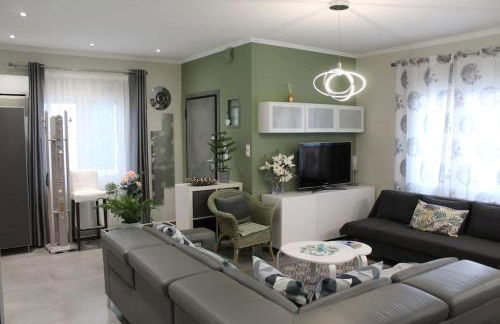 Panos modern country house - Photo 1