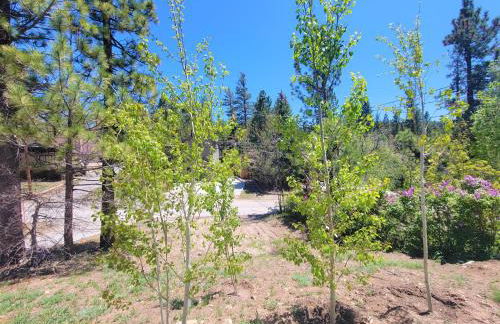 Four Seasons Getaway-Private Hot Spa with Pine Tree Views-Walk to Village and Pineknot Trailhead-Plus King Bed! - Photo 47