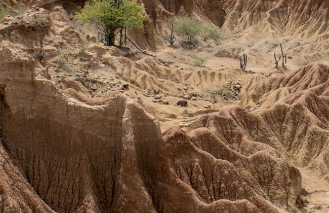 Hiking in Las Cárcavas of Villa de Leyva - Photo 2