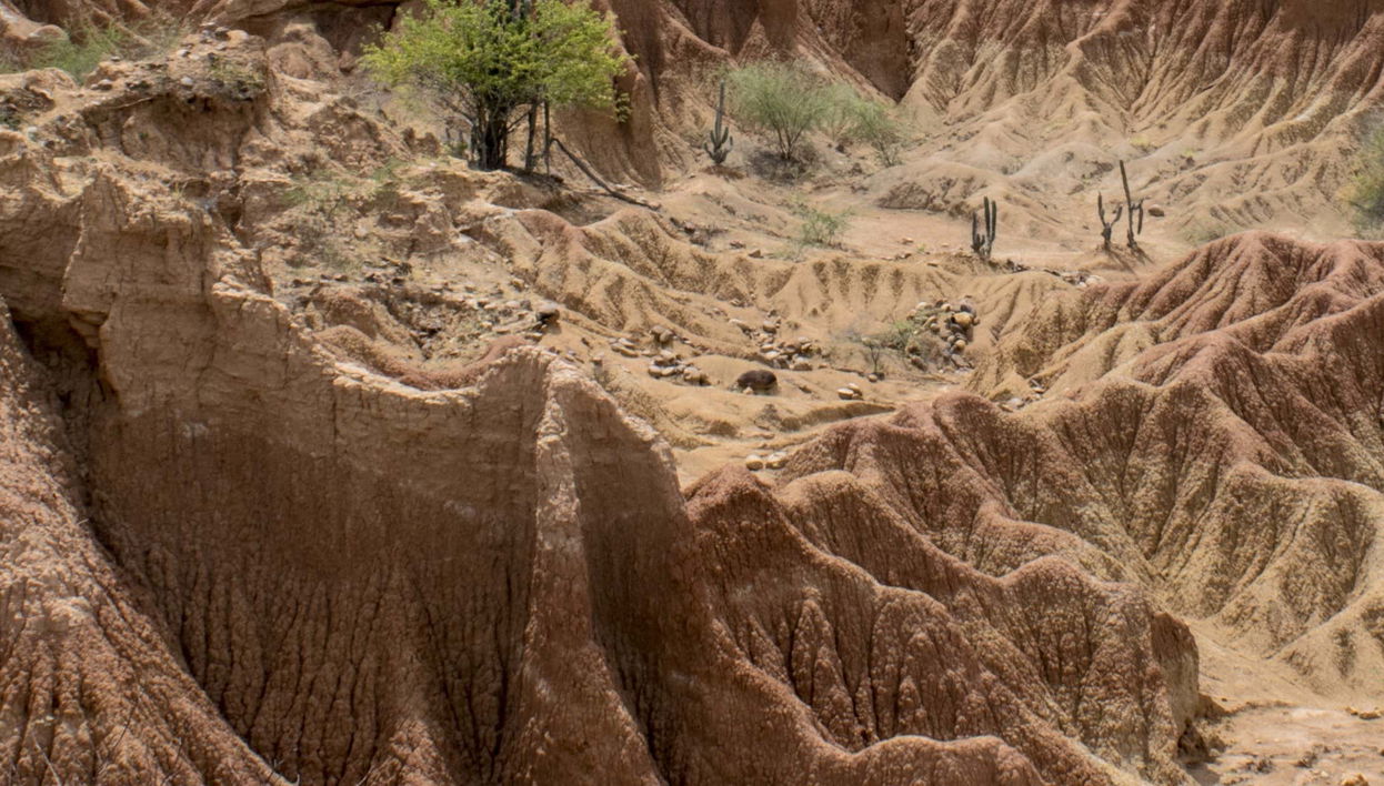Hiking in Las Cárcavas of Villa de Leyva