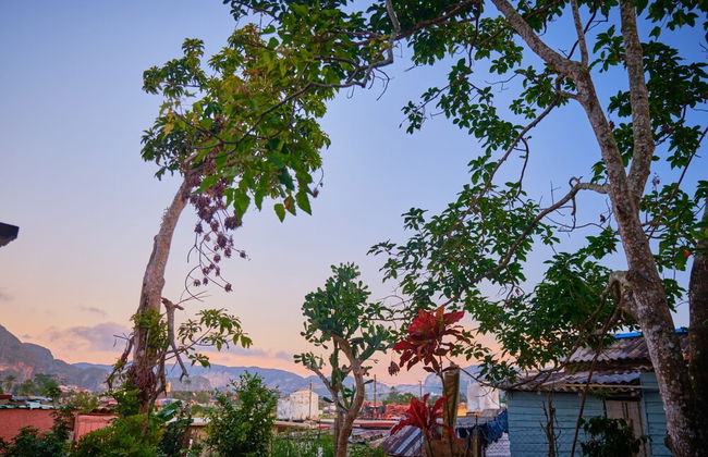 Villa in Viñales with garden and terrace - Foto 10