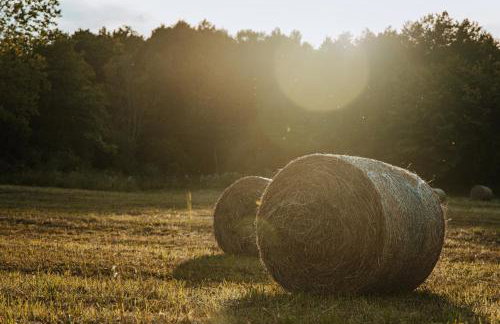 Villa Tara - Photo 62