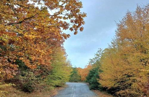 Gousios Apartments - Foto 42