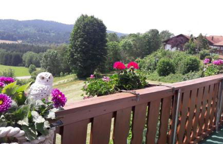 Ferienwohnung-Panoramablick -4 - Foto 1