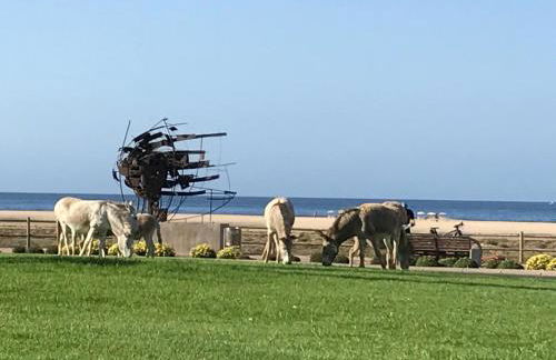 Holamigos Morro Jable - Foto 29