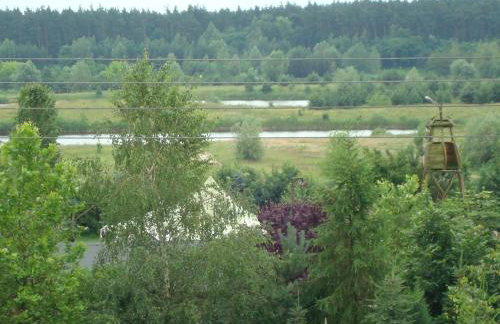 W Starym Sadzie - Foto 13