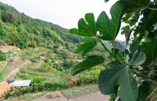 Recanto da Neta - Foto 26