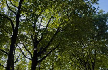 Schlachte-Studio No5 - Foto 23