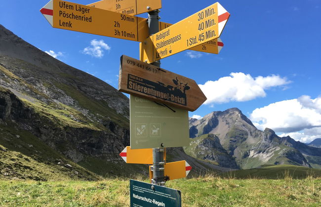 Gwunderstübli - Foto 29