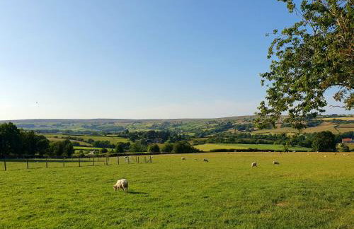 Ingleside Cottage - North Yorkshire Moors - Photo 3